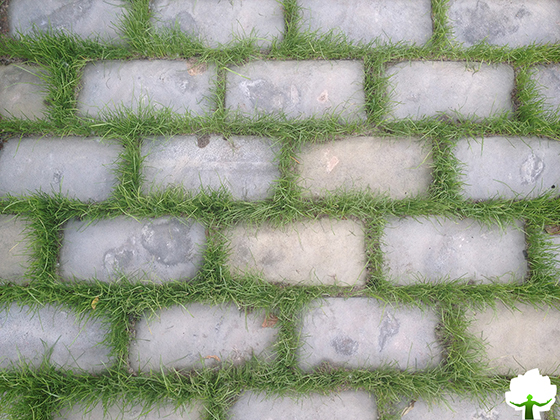 Комбинированное покрытие из бетонной брусчатки и газона