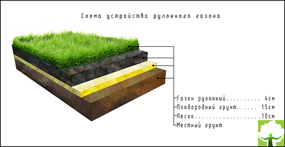 Схема устройства рулонного газона
